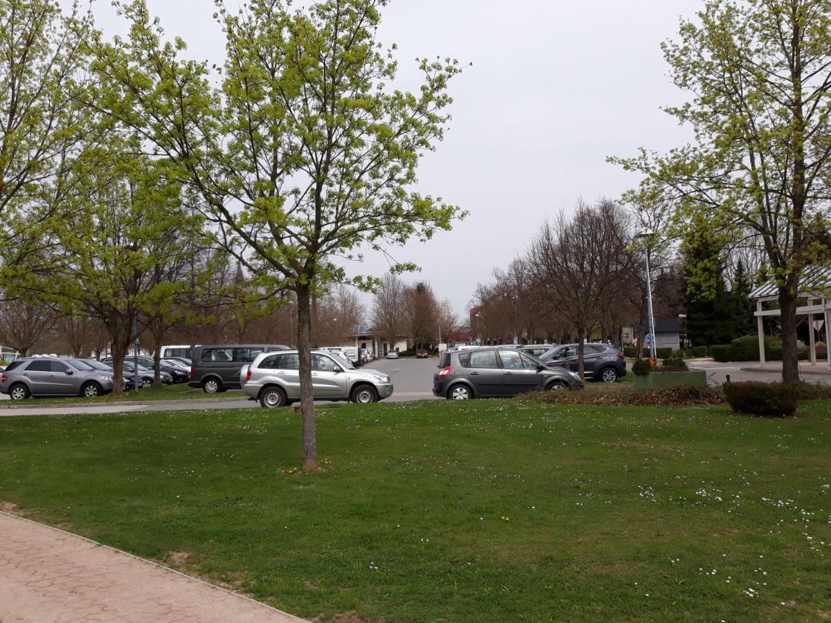 Apartma C-06, C-11 Moravske Toplice Zewnętrze zdjęcie